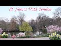 St james park  london  pinkybelles adventures