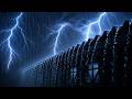 Cozy Cabin Roof Rain Sounds with Thunder for Sleeping All Night (No Ads)
