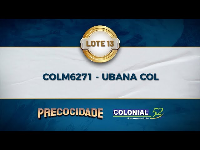 LOTE 13 COLM 6271