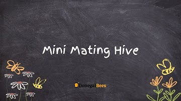 The 6 Frame Mini Mating Hive