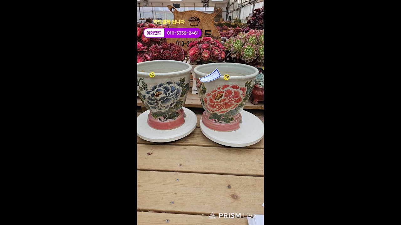 다남다육 (이화랜드) 라이브 스트리밍 중010-3339-2461문자주세요. 인천계양구이화동258-1