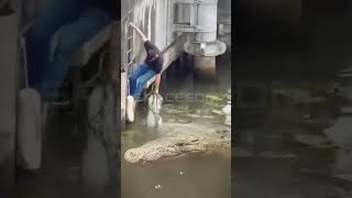 Download Lagu AMAZING! GOT A BIG CATFISH BUT IT WAS FOLLOWED BY A GIANT CROCODILE #fishing MP3