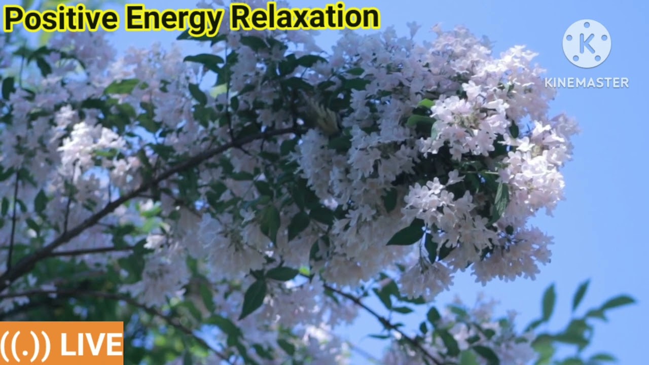 Increasing blood flow to major muscles! relaxing help you enjoy a better quality of life!