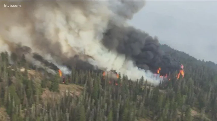 NIFC's role in US firefighting efforts