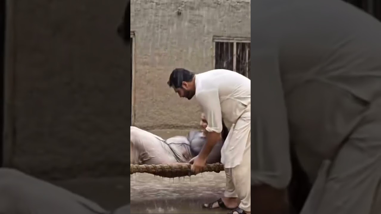 The fun tasting video in the word #funny #memeclip #funnymemes #funniestvideo #newmemes #memeteam