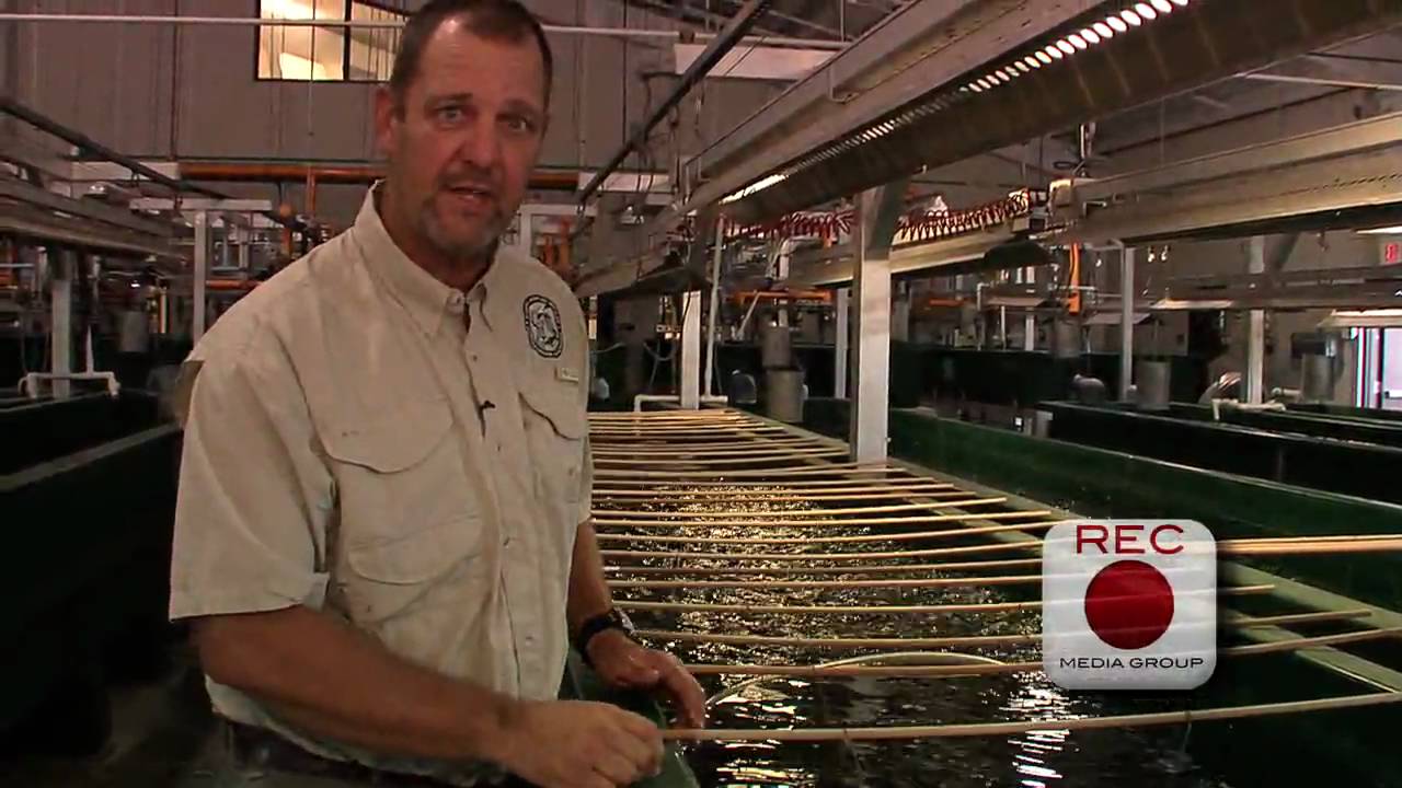 Florida Bass Conservation Center for WFN