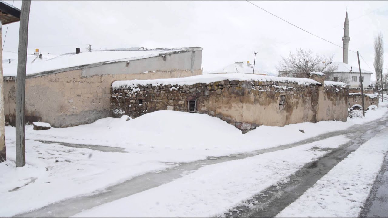 Büyük Kömarmut  2013