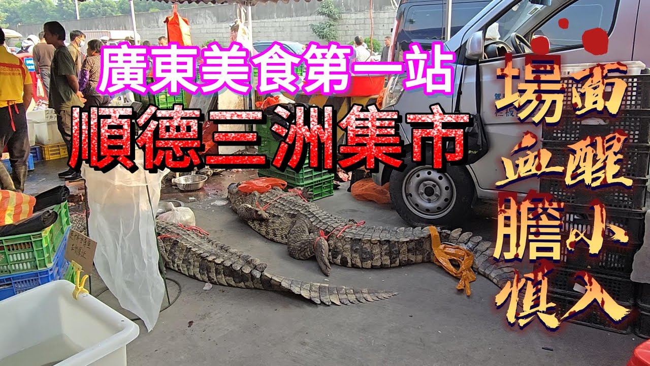 【Shunde SanZhou Market Vlog】Sunday Market Madness! Dried Seafood, Herbs, Live Poultry &  Delicacies