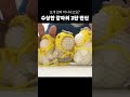 감자 뜨개 아니냐고요? 수상한 감자의 3단 변
