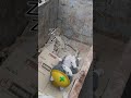 はたらけ！現場猫　その3 #現場猫