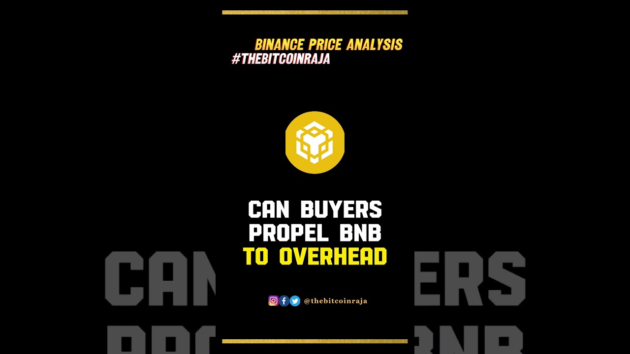 Can BNB Break Past $265 Barrier? 