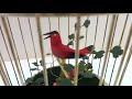 Vintage Karl Griesbaum double singing bird cage