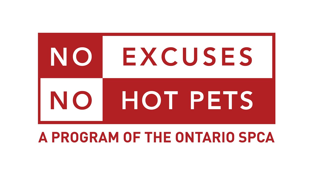 No Excuses. No Hot Pets. - No Excuses. No Hot Pets.

