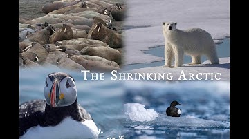 The Shrinking Arctic