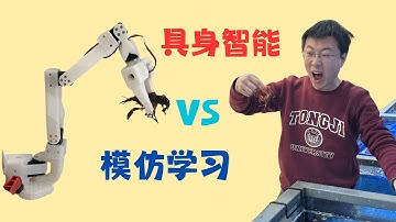 机械臂抓小龙虾，千元搞定开源具身智能模仿学习！