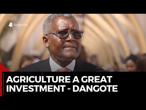 #UNGA79: ''One Of The Greatest Form Of Investments Is Agriculture'' - Aliko Dangote