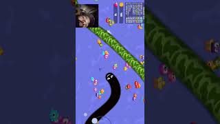 Worm Hunt Game Play  !   #gaming #gameplay #shortsfeed #snakegame