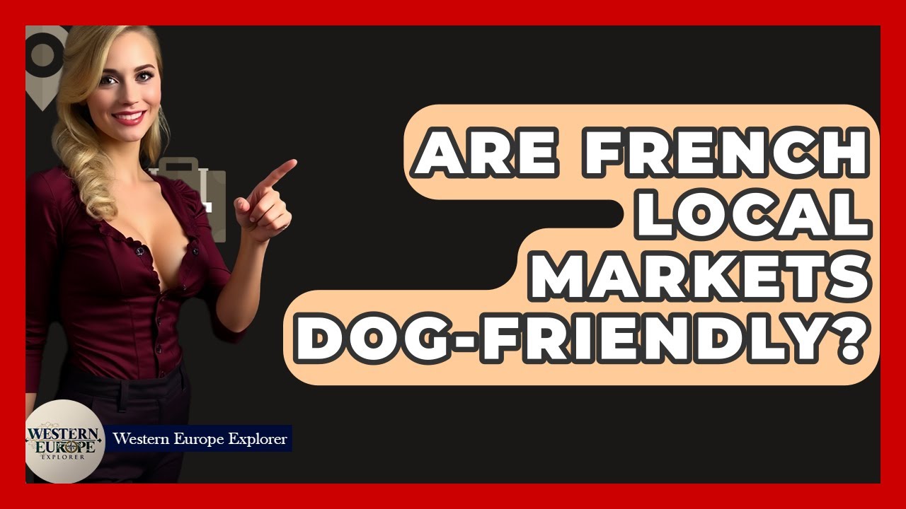 Are French Local Markets Dog-friendly? - Western Europe Explorer