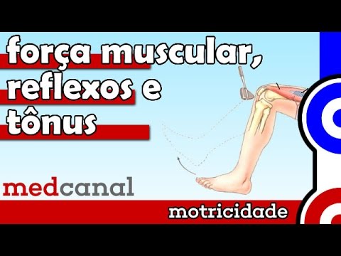 Vídeo: Para Testes De Força