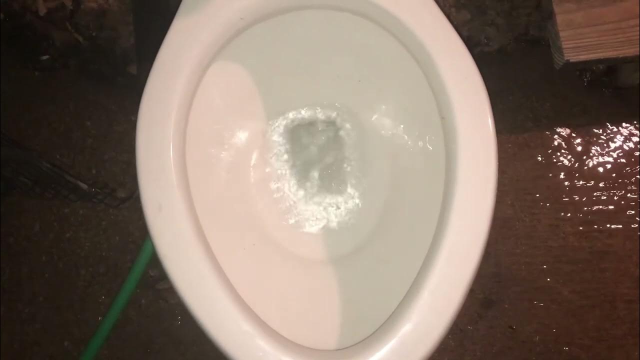 Crane Plumbing toilet with Lamosa Sahara Tank Flushing YouTube