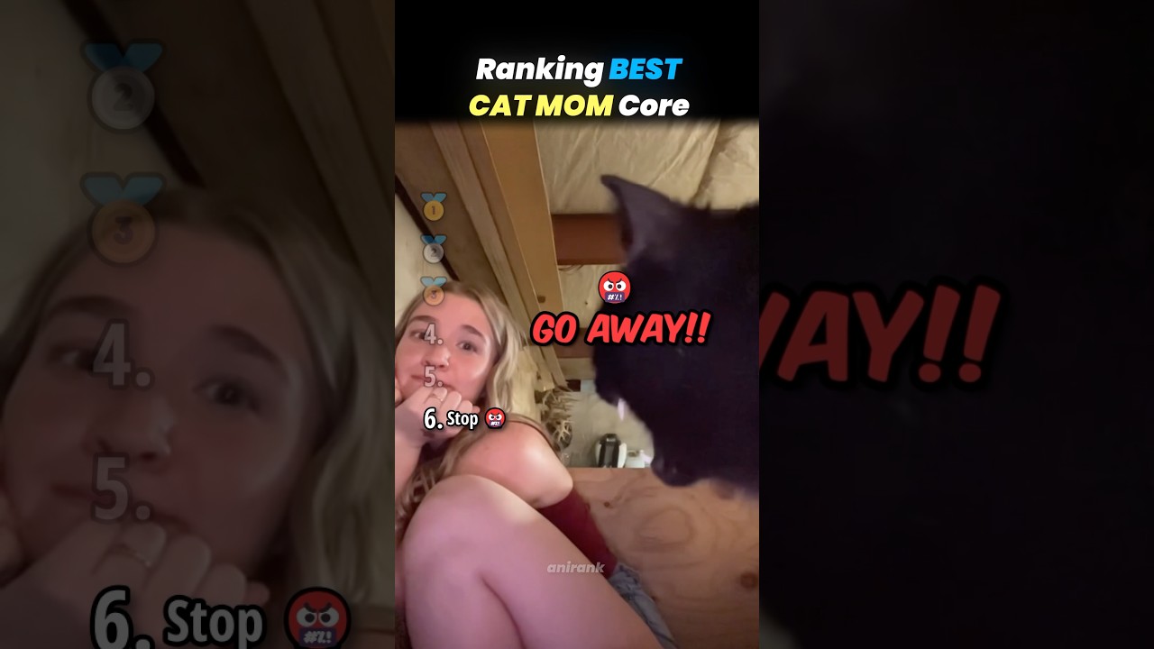Ranking BEST CAT MOM Core Moments!! 🐱🍼