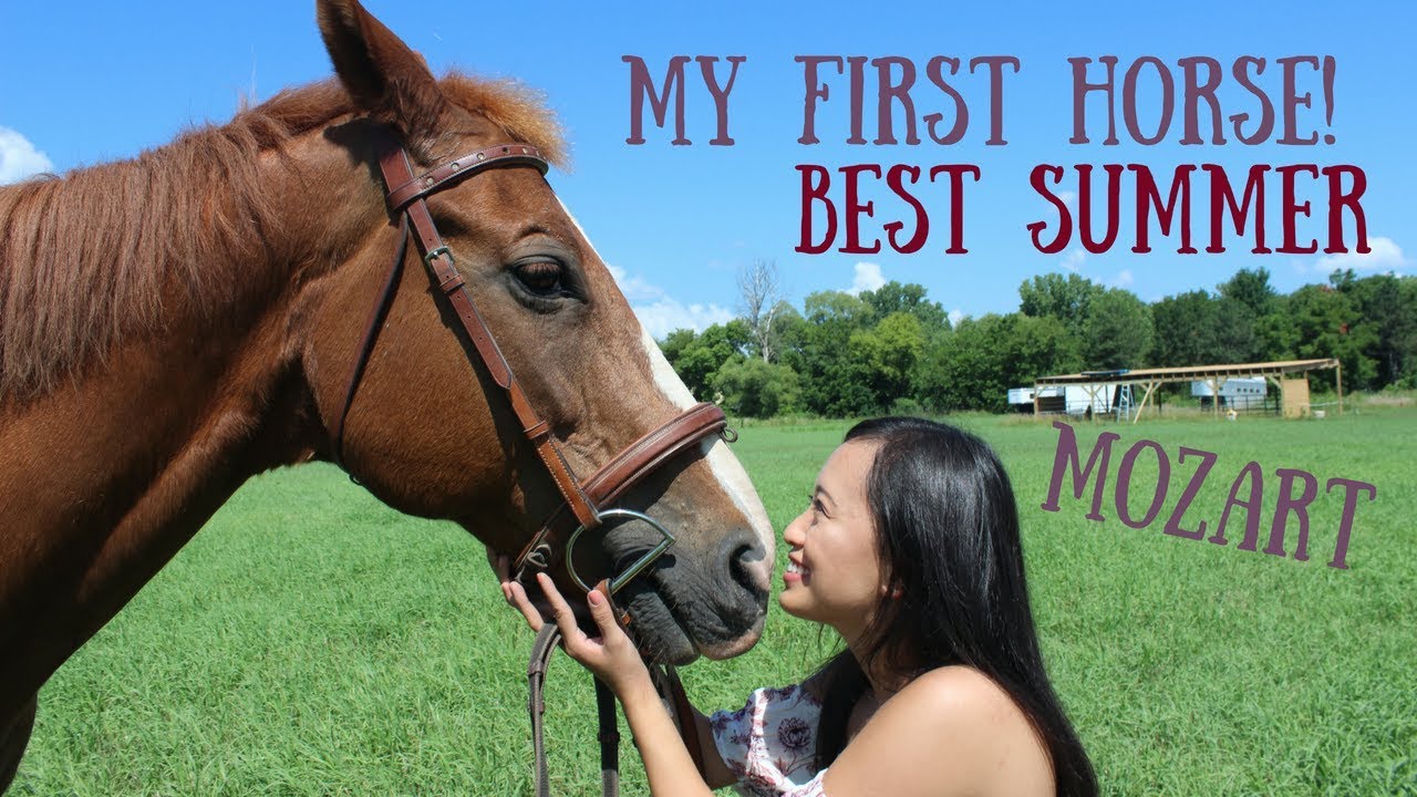 My First Horse..Mozart! YouTube