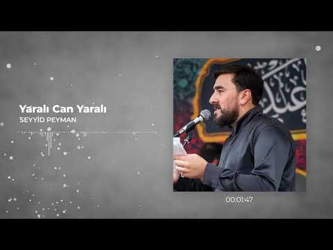 Seyyid  Peyman - Yaralı Can Yaralı (Official Aduio Clip)