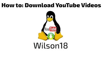 How to: Download YouTube Videos on Ubuntu 13.10