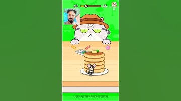 🐱 Hide and Seek: Cat Escape! #32 - Can You Beat This Impossible Level? 😱