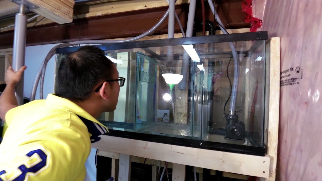 Aquarium Sump Water Testing Shows how water level changes based on