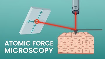 An introduction to atomic force microscopy
