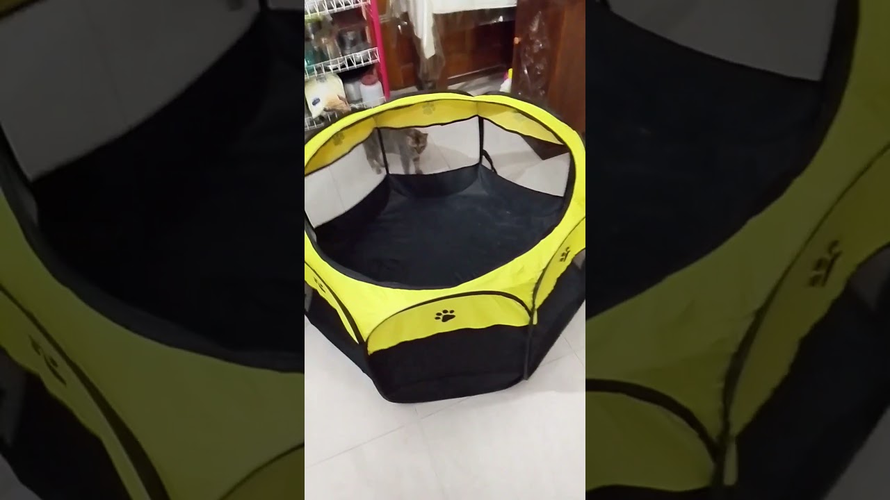 Folding Pet Tent