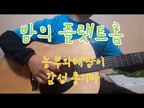 밤의 플랫트홈.김범룡(살다보면 어느날 문득 생각나는 노래)통기타 라이브