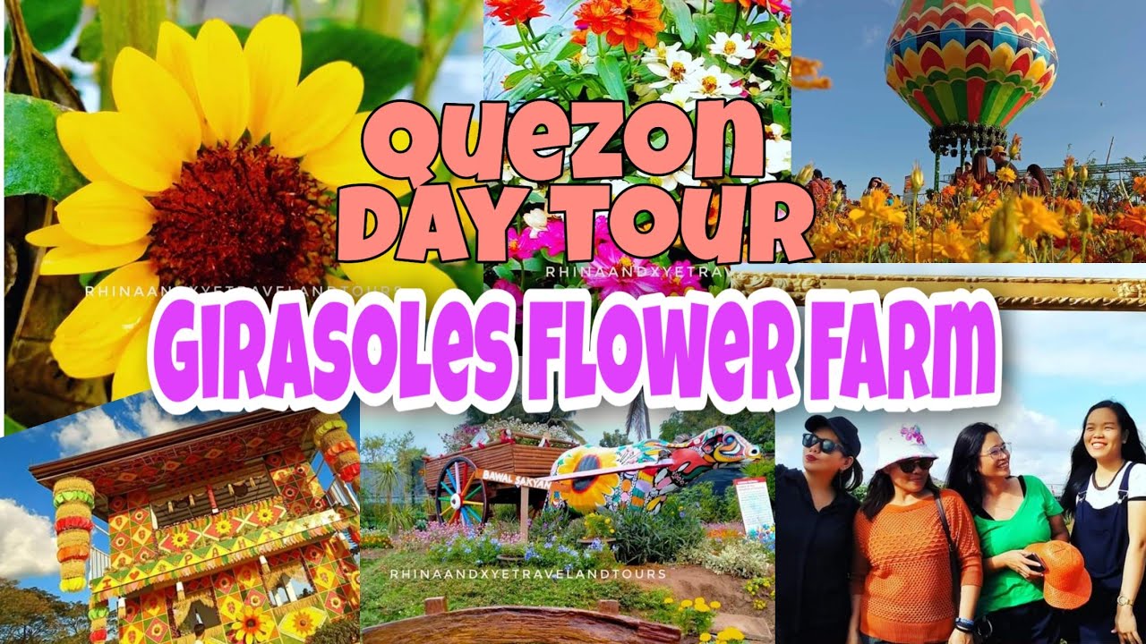 Girasoles Flower Farm
