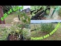 Our Garden Has Changed! 🌱 Updated Homestead Garden Tour | What’s Growing Now