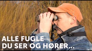 Punkttællingsprogrammet - Vigtig Overvågning Af Danske Fugle