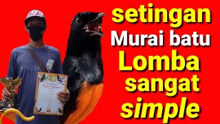 setingan lomba murai batu