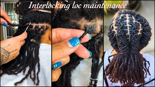 How to interlocking dreadlocks / loc maintenance tutorial