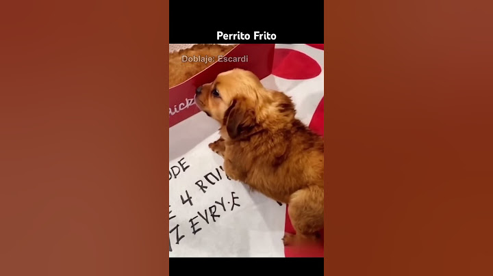 PERRITO FRITO