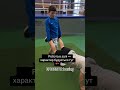 Робота в залі — характер будується тут 🥊. #boxingclubepicentr #boxing #epicentrboxing #rec #бокс