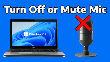 How To Disable or Turn Off or Mute Microphone in Windows 11