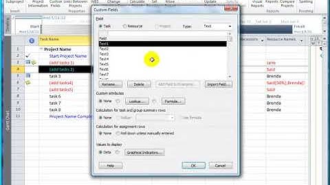 Ribbon navigation and customization in Microsoft Project 2010