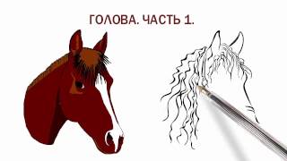 Амигуруми. Лошадка, зебра, единорог. Голова-Часть1. Амигуруми. Лошадка, зебра, единорог. Голова-Часть1.