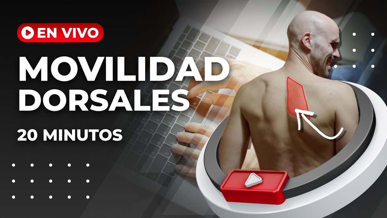 🔴 Rutina de MOVILIDAD para DORSALES sentado - En vivo 20 minutos - YouTube