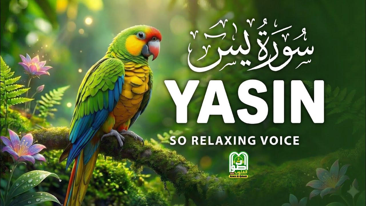 Surah Yasin The Heart of Quran | Pure Relaxing Voice | Sleep Protection | Calm Your Mind
