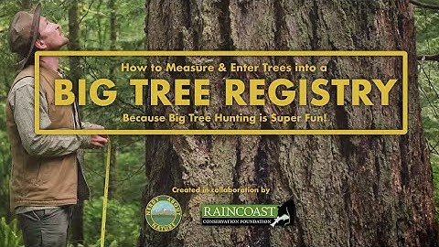 How to measure and enter trees into a Big Tree Registry