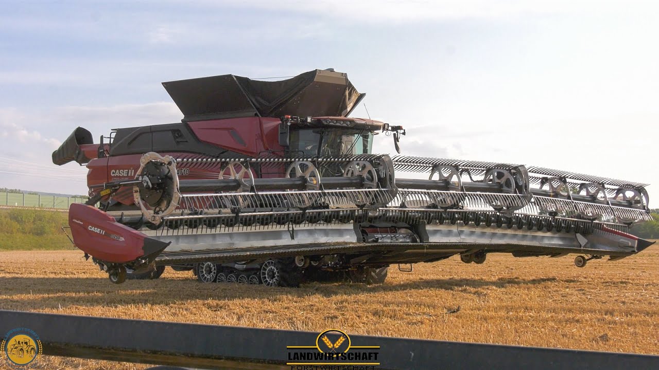 Das 15m Schneidwerk biegt sich schon Case AF10 in Deutschland Großeinsatz Getreideernte Weizen Ernte