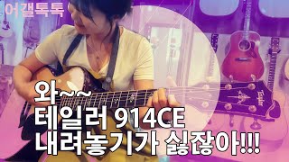 [어갤TV] 솔담뷰 - 테일러 914CE