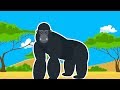 Дикие Животные Африки. Про Гориллу Мультик для Детей.Развивающий Мультфильм Дикие Животные для Детей