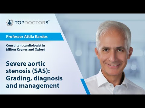Professor Attila Kardos - Severe Aortic Stenosis Presentation at BSEcho 2022